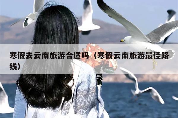 寒假去云南旅游合适吗（寒假云南旅游最佳路线）