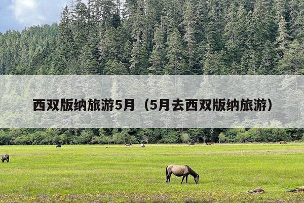 西双版纳旅游5月（5月去西双版纳旅游）