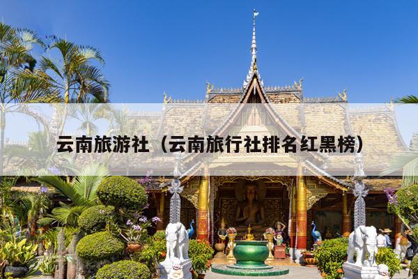云南旅游社（云南旅行社排名红黑榜）