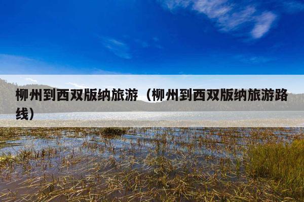 柳州到西双版纳旅游（柳州到西双版纳旅游路线）