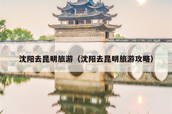 沈阳去昆明旅游（沈阳去昆明旅游攻略）