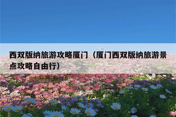 西双版纳旅游攻略厦门（厦门西双版纳旅游景点攻略自由行）