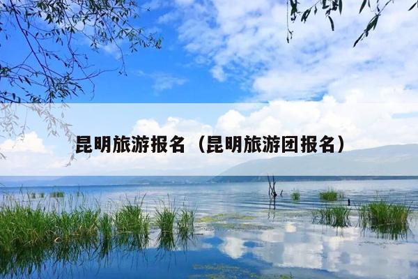 昆明旅游报名（昆明旅游团报名）