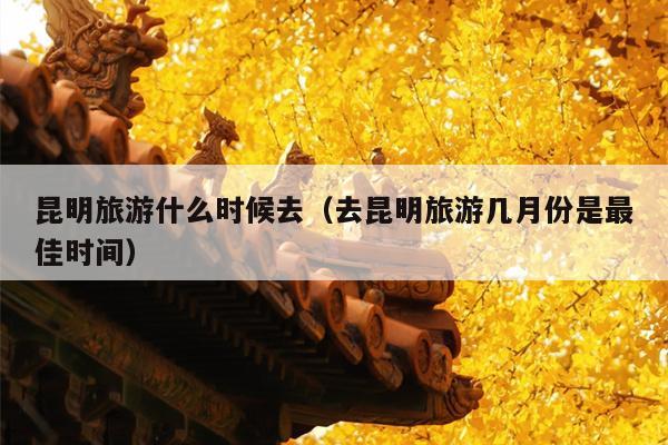 昆明旅游什么时候去（去昆明旅游几月份是最佳时间）