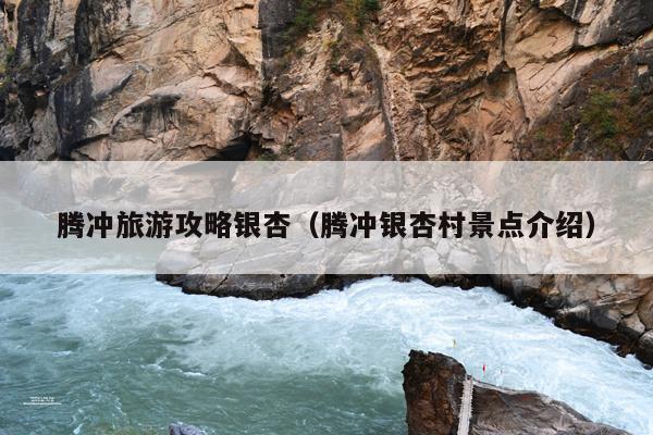 腾冲旅游攻略银杏（腾冲银杏村景点介绍）