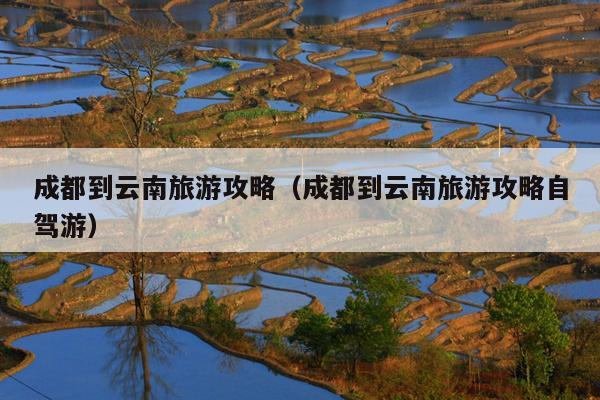 成都到云南旅游攻略（成都到云南旅游攻略自驾游）