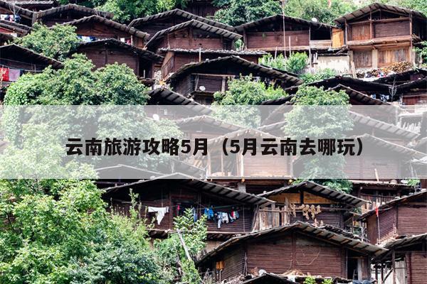 云南旅游攻略5月（5月云南去哪玩）