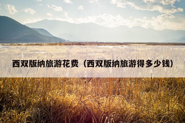 西双版纳旅游花费（西双版纳旅游得多少钱）