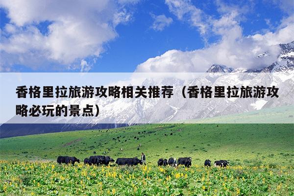 香格里拉旅游攻略相关推荐（香格里拉旅游攻略必玩的景点）
