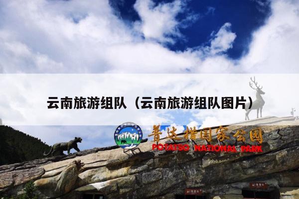 云南旅游组队（云南旅游组队图片）