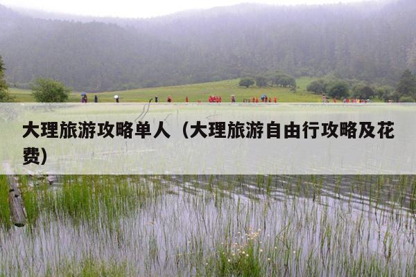 大理旅游攻略单人（大理旅游自由行攻略及花费）