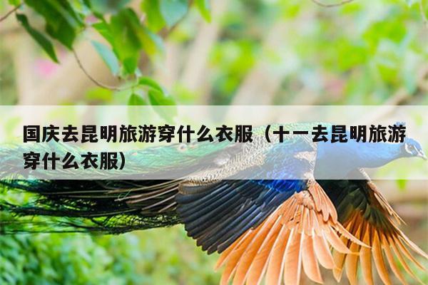 国庆去昆明旅游穿什么衣服（十一去昆明旅游穿什么衣服）