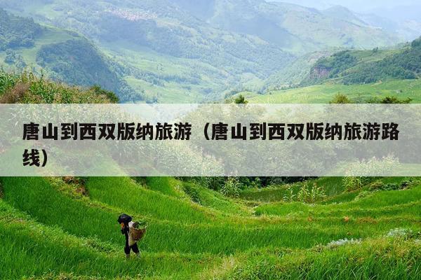 唐山到西双版纳旅游（唐山到西双版纳旅游路线）