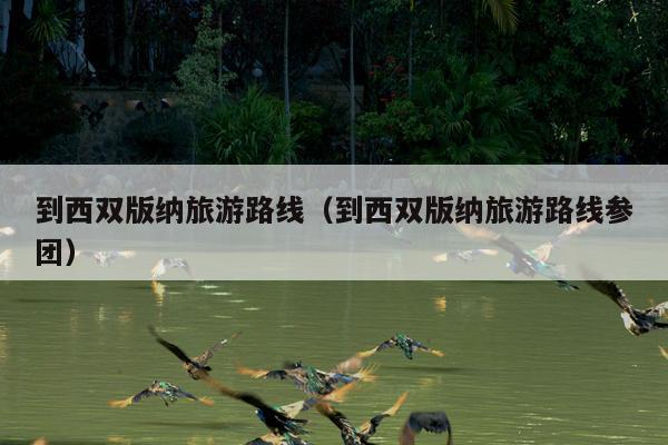 到西双版纳旅游路线（到西双版纳旅游路线参团）