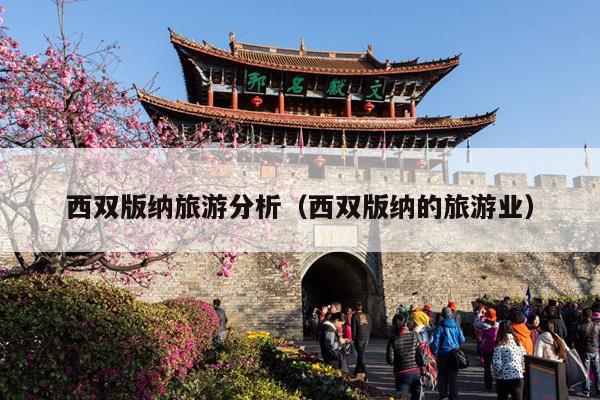 西双版纳旅游分析（西双版纳的旅游业）