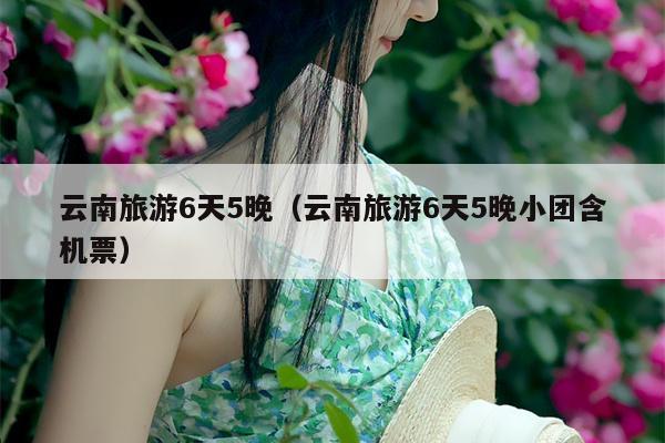 云南旅游6天5晚（云南旅游6天5晚小团含机票）
