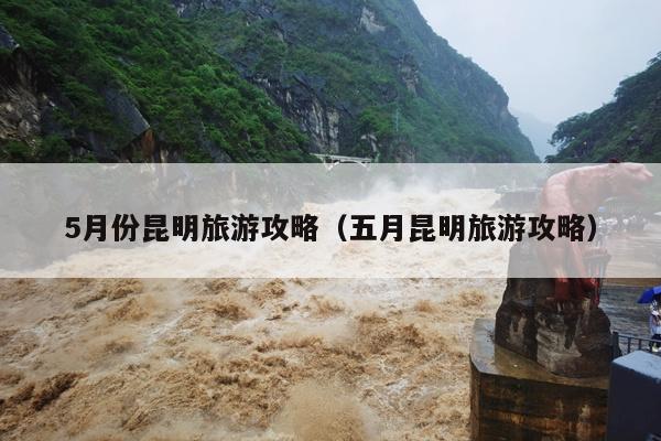 5月份昆明旅游攻略（五月昆明旅游攻略）
