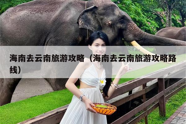 海南去云南旅游攻略（海南去云南旅游攻略路线）