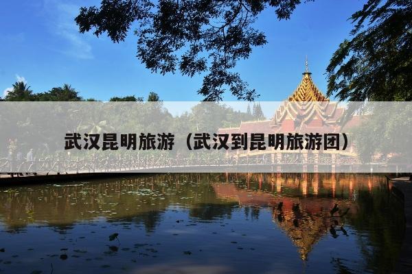 武汉昆明旅游（武汉到昆明旅游团）