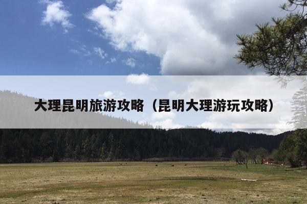 大理昆明旅游攻略（昆明大理游玩攻略）