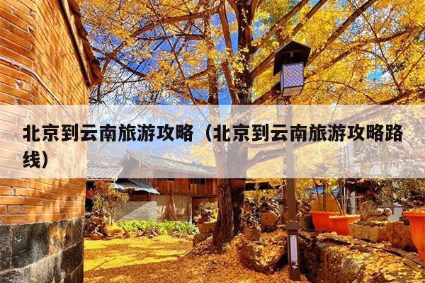 北京到云南旅游攻略（北京到云南旅游攻略路线）