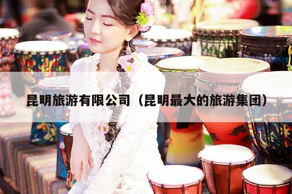 昆明旅游有限公司（昆明最大的旅游集团）