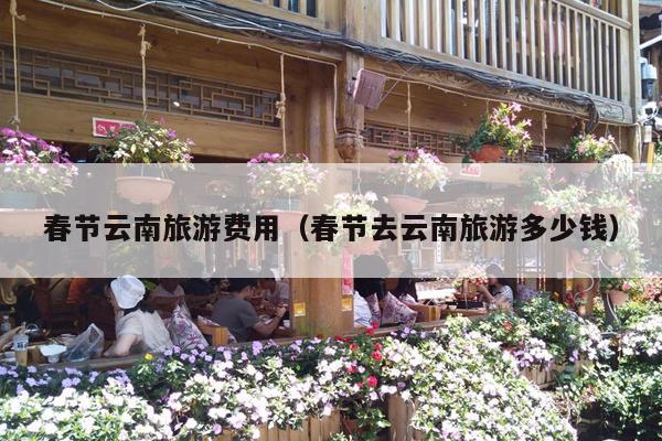 春节云南旅游费用（春节去云南旅游多少钱）