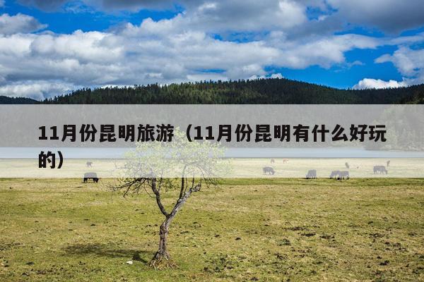 11月份昆明旅游（11月份昆明有什么好玩的）