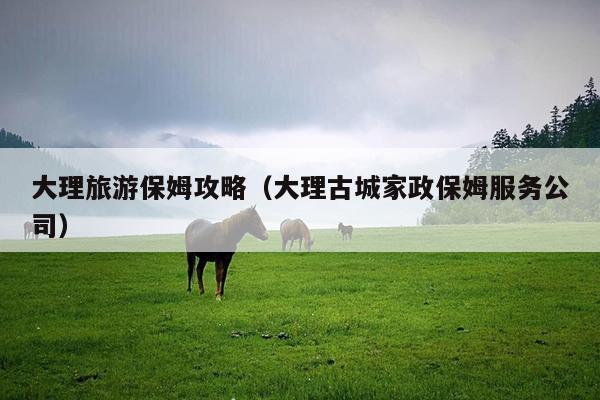 大理旅游保姆攻略（大理古城家政保姆服务公司）
