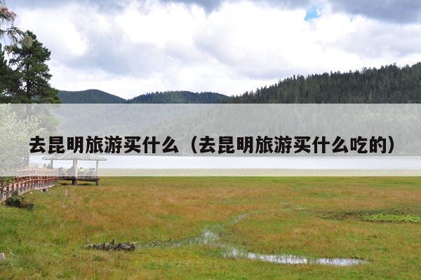 去昆明旅游买什么（去昆明旅游买什么吃的）