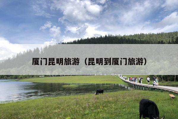 厦门昆明旅游（昆明到厦门旅游）