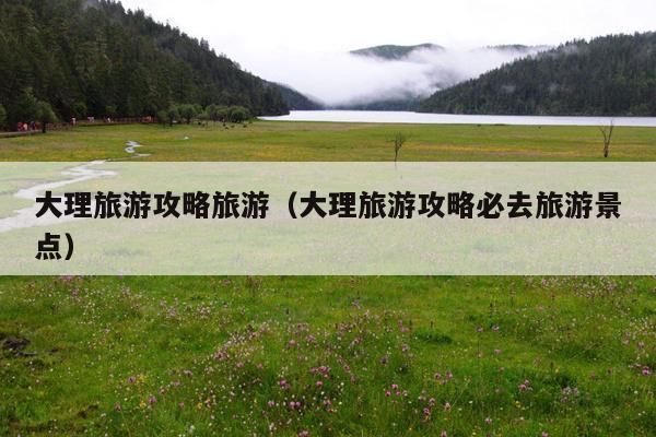 大理旅游攻略旅游（大理旅游攻略必去旅游景点）