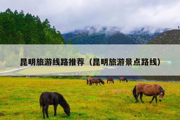 昆明旅游线路推荐（昆明旅游景点路线）