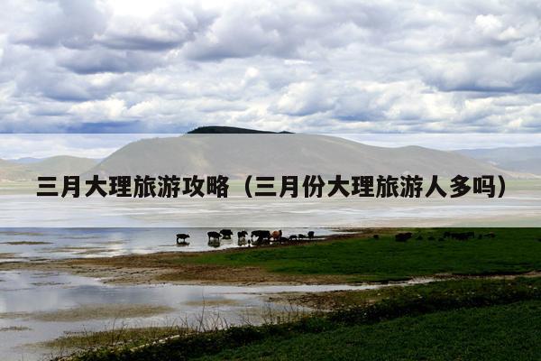 三月大理旅游攻略（三月份大理旅游人多吗）
