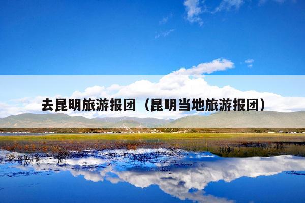 去昆明旅游报团（昆明当地旅游报团）