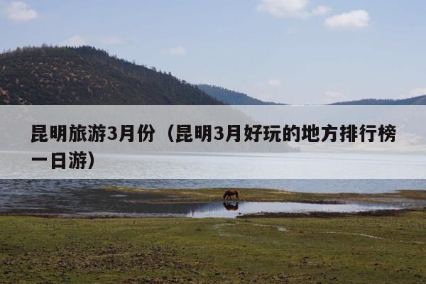 昆明旅游3月份（昆明3月好玩的地方排行榜一日游）