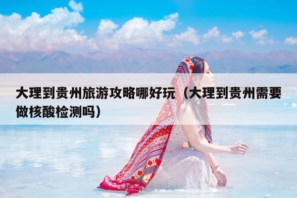 大理到贵州旅游攻略哪好玩（大理到贵州需要做核酸检测吗）