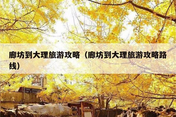 廊坊到大理旅游攻略（廊坊到大理旅游攻略路线）