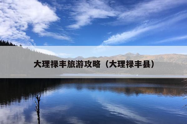 大理禄丰旅游攻略（大理禄丰县）