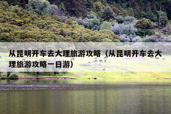 从昆明开车去大理旅游攻略（从昆明开车去大理旅游攻略一日游）