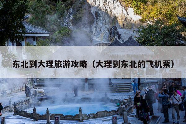 东北到大理旅游攻略（大理到东北的飞机票）