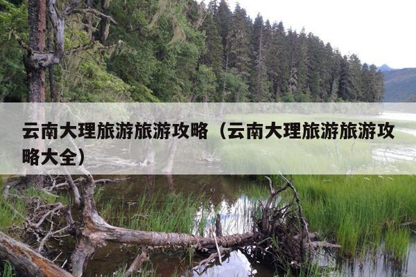 云南大理旅游旅游攻略（云南大理旅游旅游攻略大全）