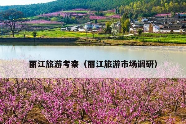 丽江旅游考察（丽江旅游市场调研）