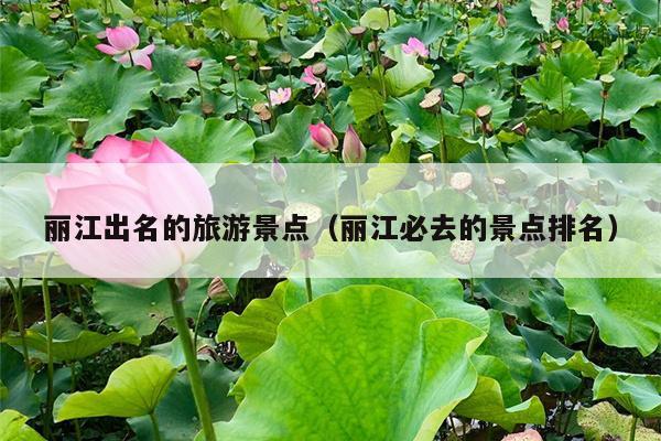 丽江出名的旅游景点（丽江必去的景点排名）