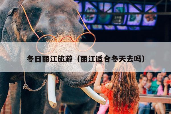冬日丽江旅游（丽江适合冬天去吗）