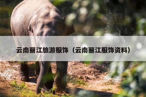 云南丽江旅游服饰（云南丽江服饰资料）