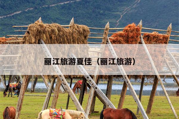 丽江旅游夏佳（丽江旅游）