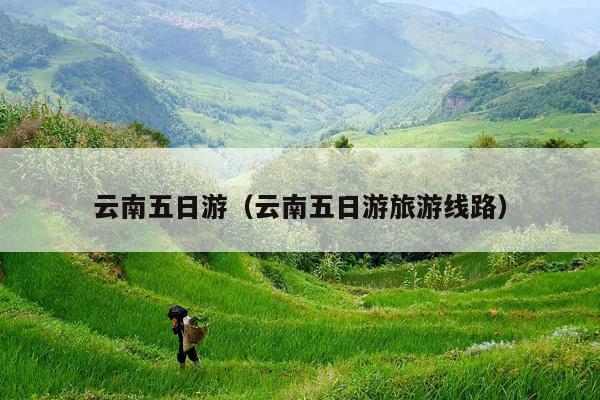 云南五日游（云南五日游旅游线路）